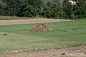 VBS_5293 - La solita strada... il grano da crescere, i campi da arare...